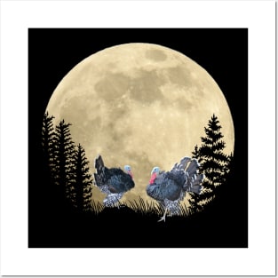 Romantic turkey with bat at night in the moonlight Posters and Art